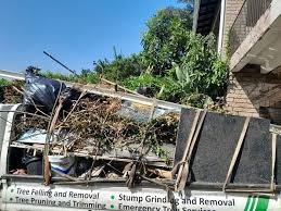 Best Hoarding Cleanup  in Maynardville, TN