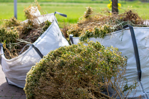 Best Residential Junk Removal  in Maynardville, TN