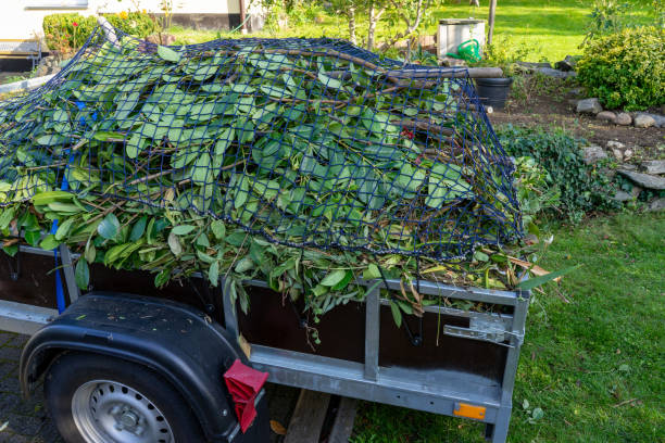 Best Yard Waste Removal  in Maynardville, TN